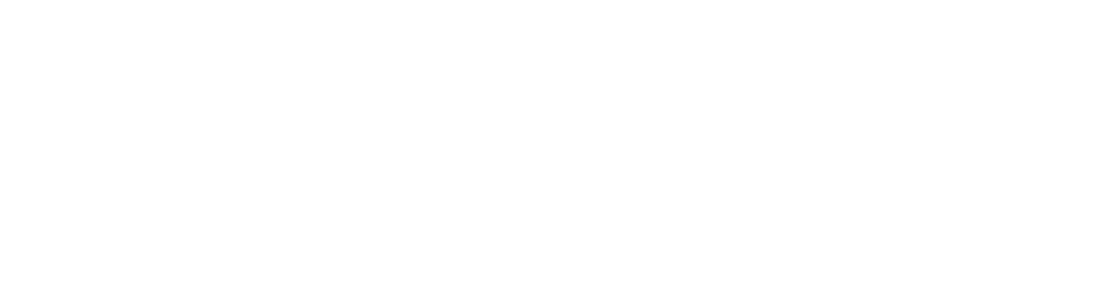 EIDEN